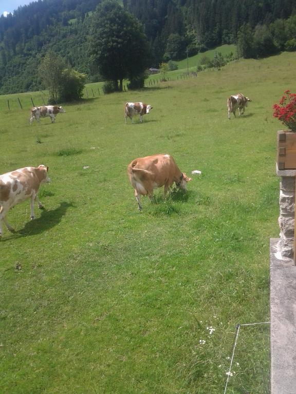 Ferienwohnungen Behamhof Neukirchen am Großvenediger 外观 照片